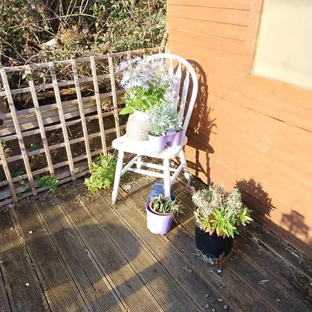 Big Bright Pensión *