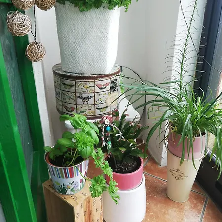 Big Bright * Carrigaline