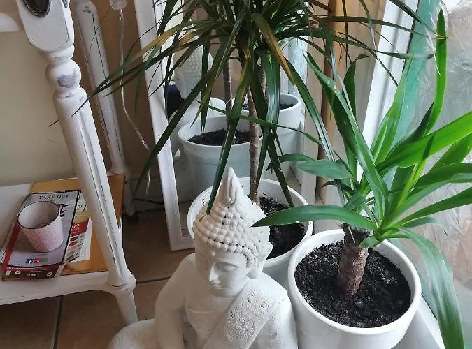 Gæstehus Big Bright