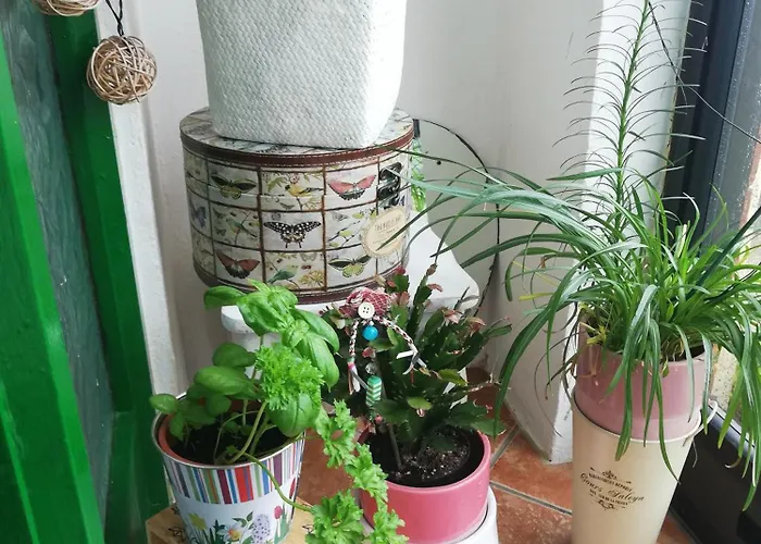 Big Bright * Carrigaline